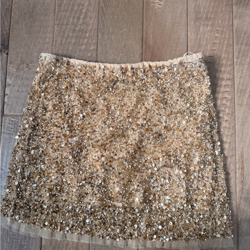 Zara Sparkling Gold beaded Mini Skirt